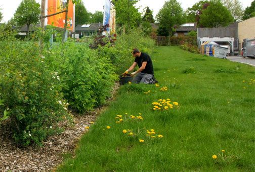 Gartenarbeit